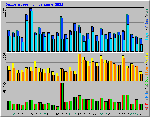 Daily usage for January 2022