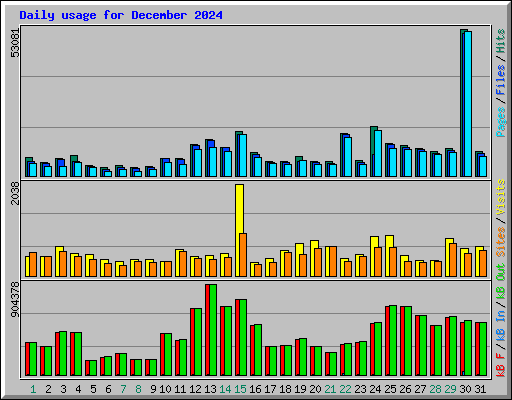 Daily usage for December 2024