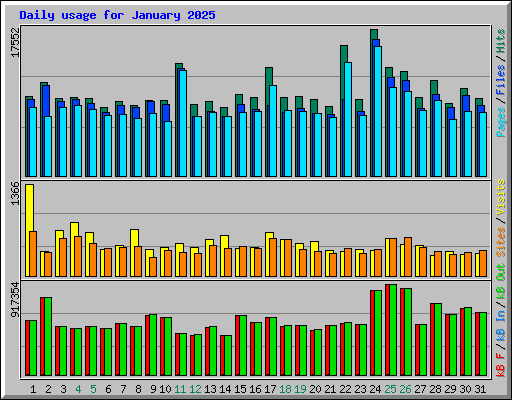 Daily usage for January 2025