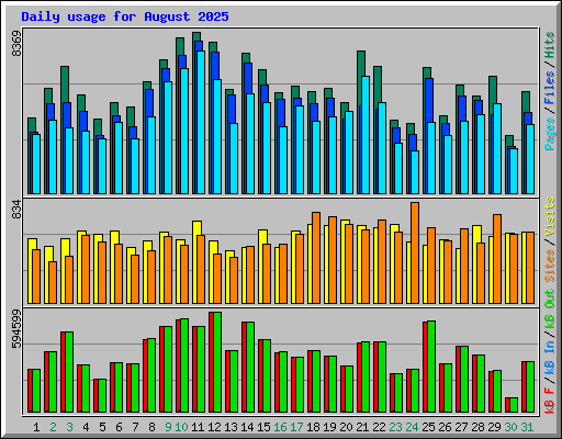Daily usage for August 2025