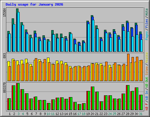 Daily usage for January 2026