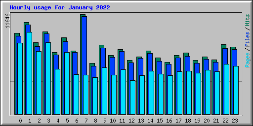 Hourly usage for January 2022
