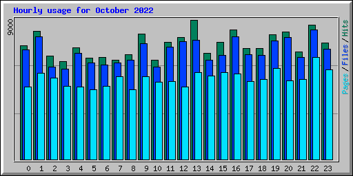 Hourly usage for October 2022