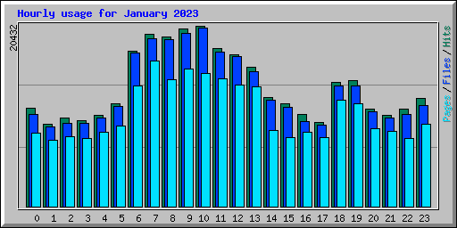 Hourly usage for January 2023