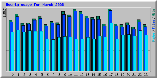Hourly usage for March 2023