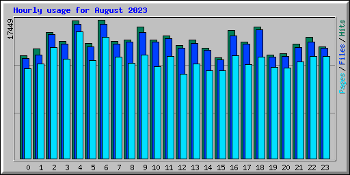 Hourly usage for August 2023