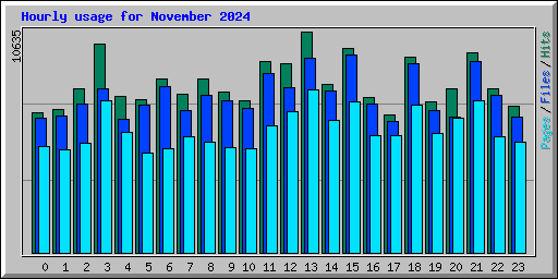 Hourly usage for November 2024