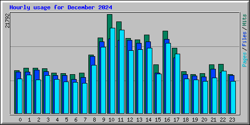 Hourly usage for December 2024