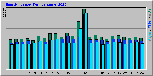 Hourly usage for January 2025