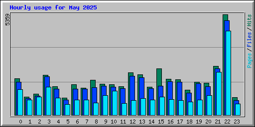 Hourly usage for May 2025