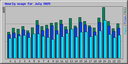 Hourly usage for July 2025