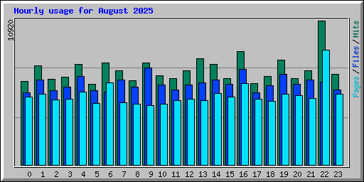 Hourly usage for August 2025