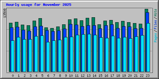 Hourly usage for November 2025