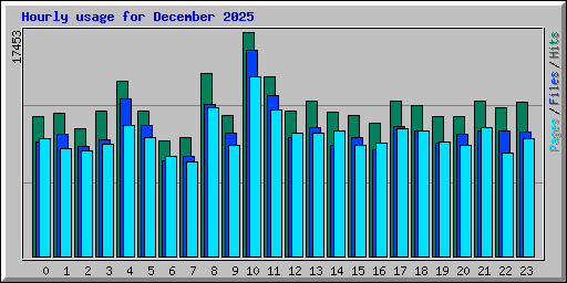 Hourly usage for December 2025