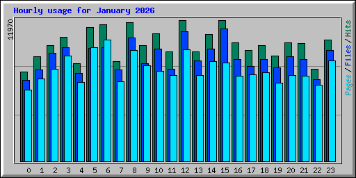 Hourly usage for January 2026