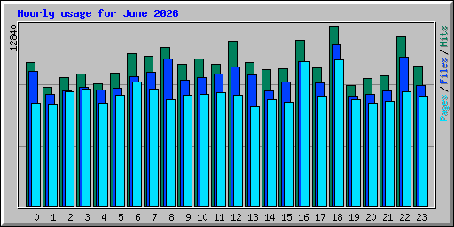 Hourly usage for June 2026