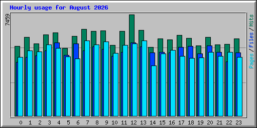 Hourly usage for August 2026