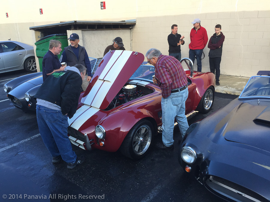 Cobras in the Lot